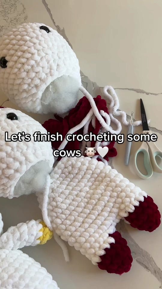 Post 6 by BriCrochets on TikTok (video)