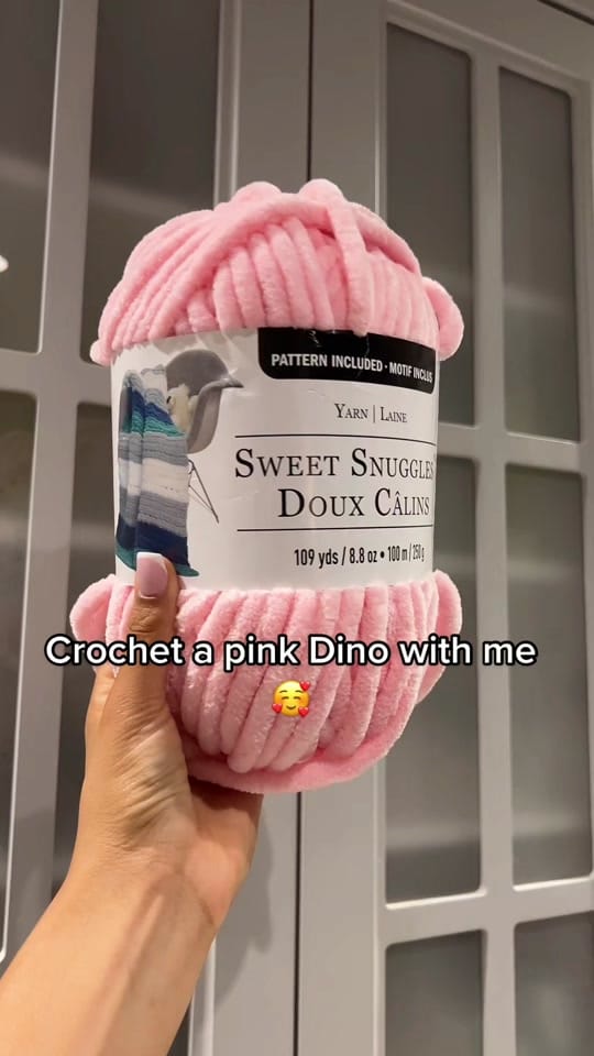 Post 5 by BriCrochets on TikTok (video)