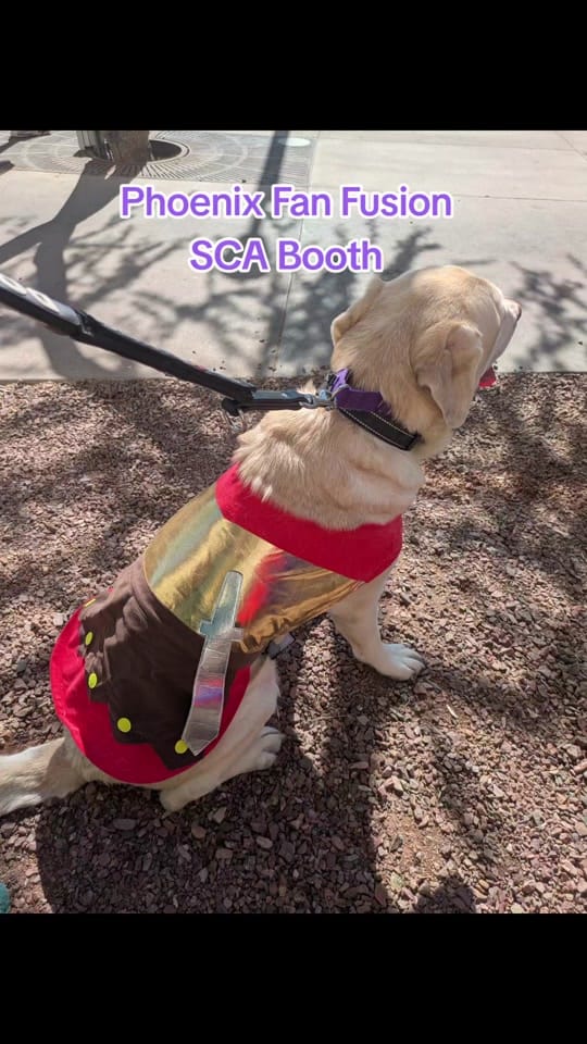 Post 6 by Brooklyn GDA on TikTok (video)