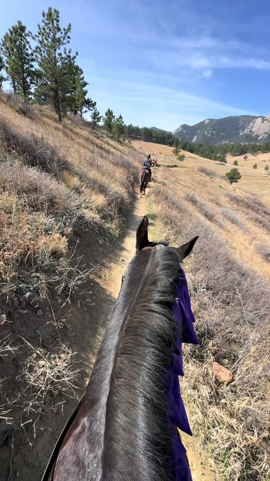 Post 8 by Grace Kennedy Realty on TikTok (video)