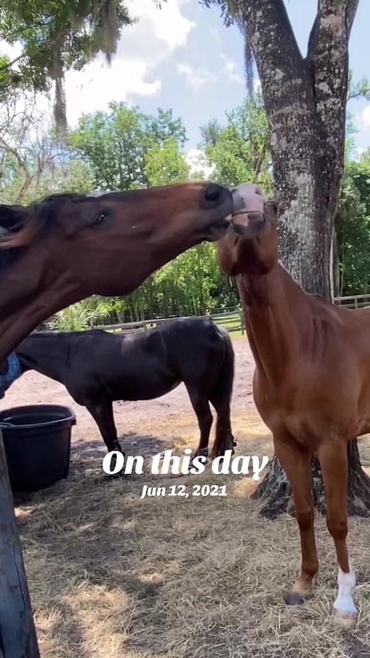 Post 5 by estrote91 on TikTok (video)