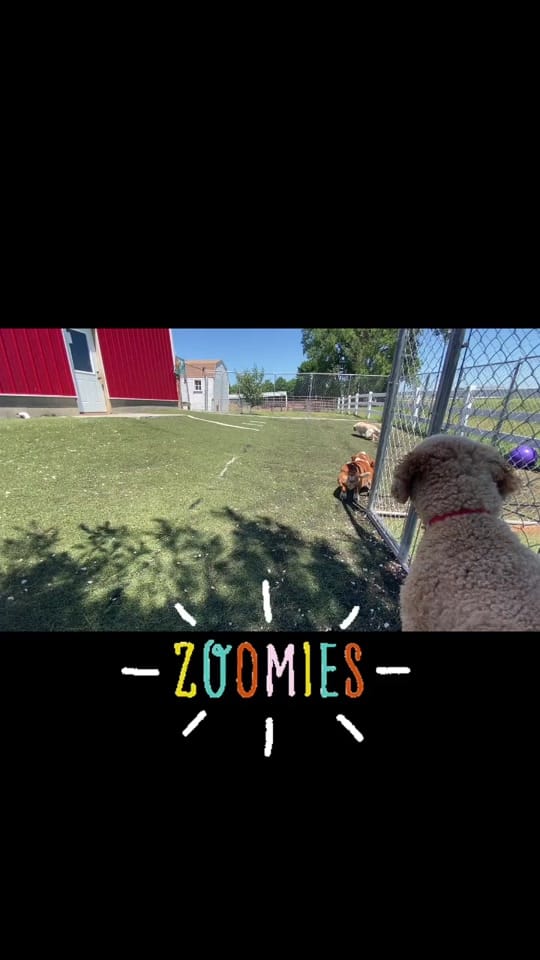 Post 2 by Lisa Bienfang 💙 on TikTok (video)
