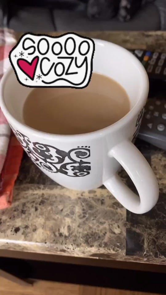Post 5 by Lisa Bienfang 💙 on TikTok (video)