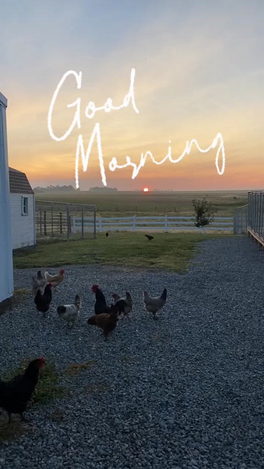 Post 6 by Lisa Bienfang 💙 on TikTok (video)