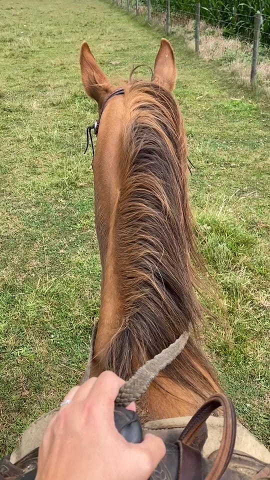Post 9 by Lisa Bienfang 💙 on TikTok (video)