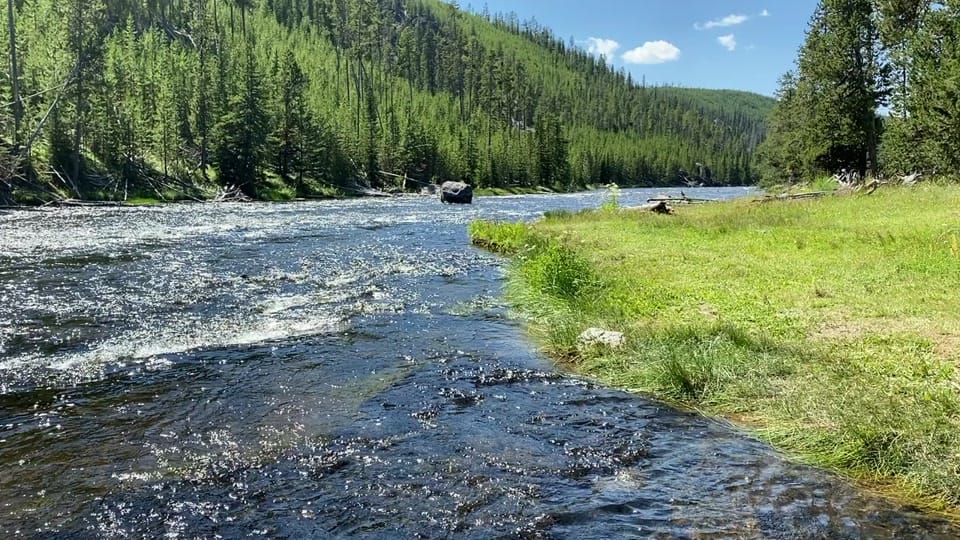 Post 8 by Lisa Bienfang 💙 on TikTok (video)