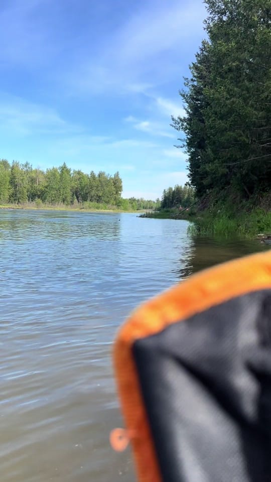 Post 1 by The Oracle on TikTok (video)