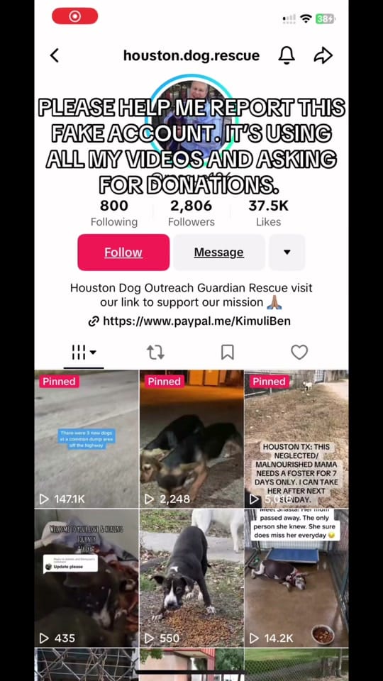 Post 7 by Houston D.O.G. Rescue on TikTok (video)