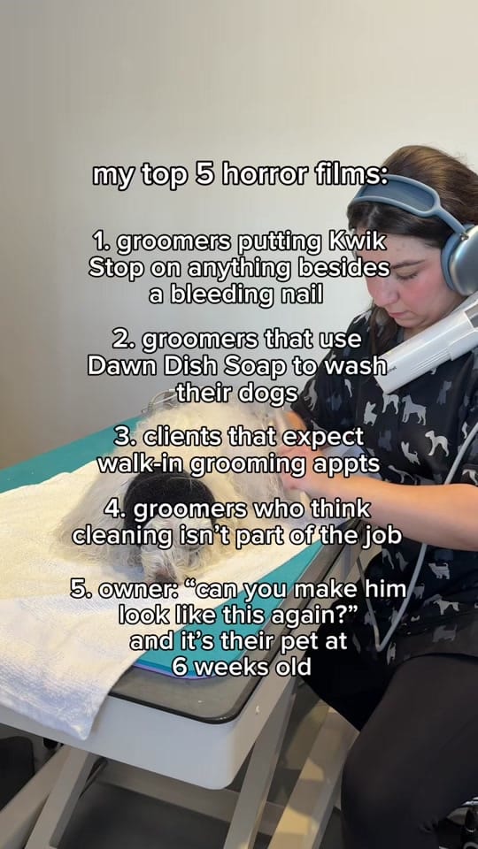 Post 3 by Cat the Dog Groomer 🐾 on TikTok (video)
