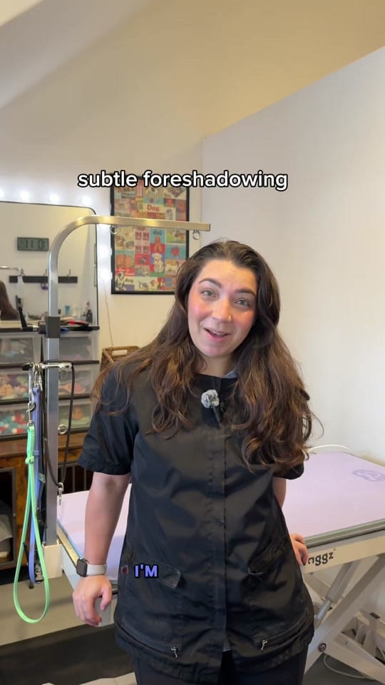 Post 5 by Cat the Dog Groomer 🐾 on TikTok (video)