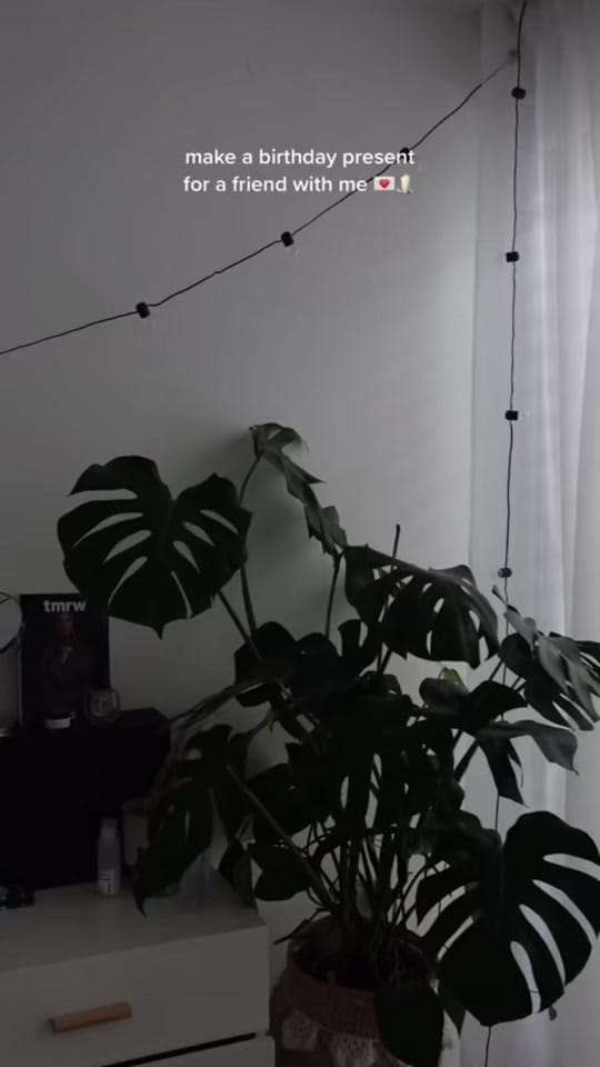 Post 4 by longlegswalking on TikTok (video)