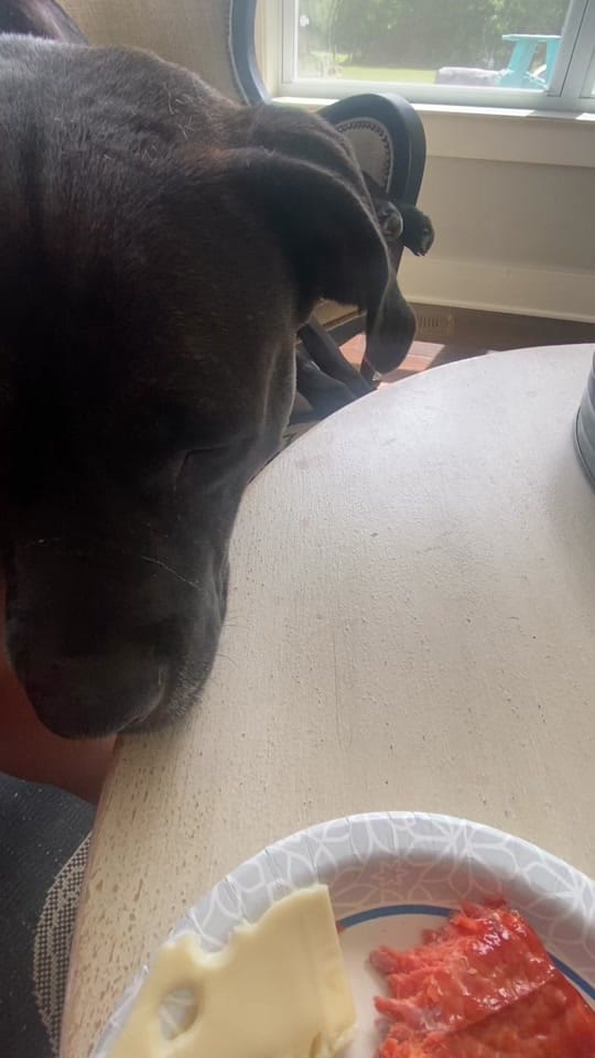 Post 4 by CompassRoseRanch on TikTok (video)