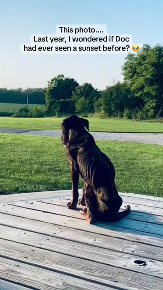 Post 1 by CompassRoseRanch on TikTok (video)