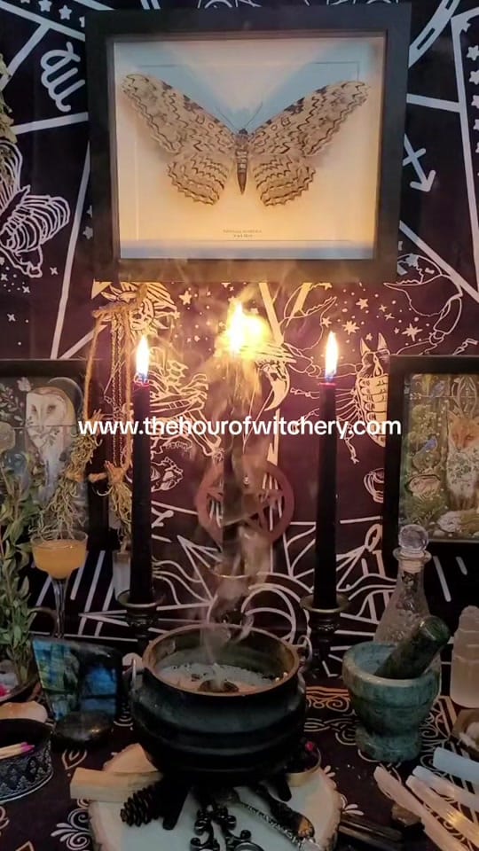 Post 6 by The Hour of Witchery on TikTok (video)