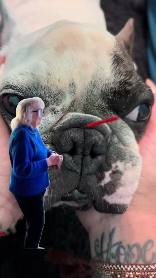 Post 3 by Dr Jessie Dreyfuss on TikTok (video)