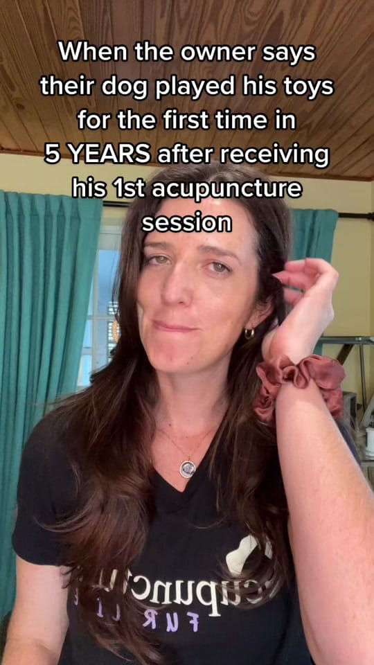 Post 9 by Dr Jessie Dreyfuss on TikTok (video)
