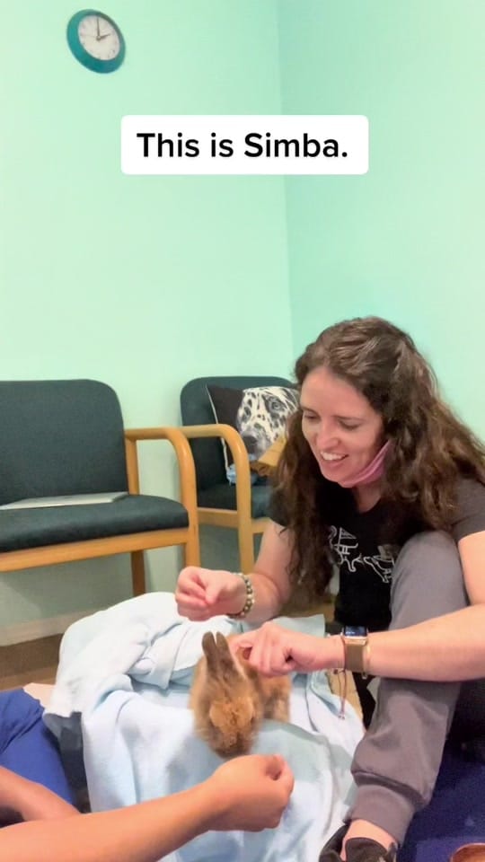 Post 8 by Dr Jessie Dreyfuss on TikTok (video)