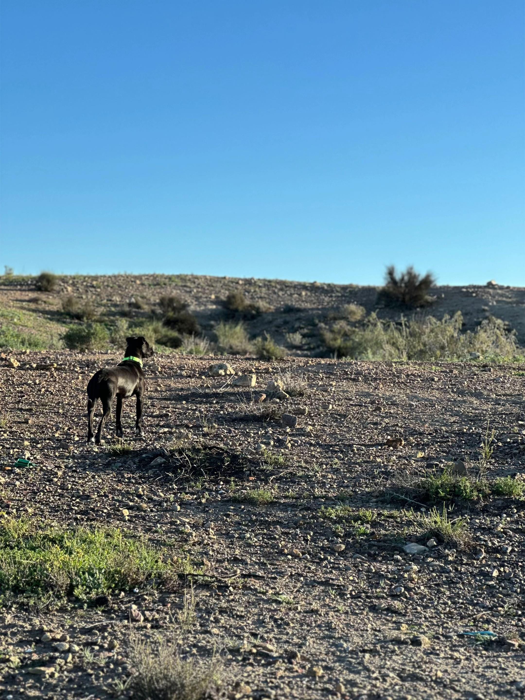 Post 3 by JJ adventures - Dogs & Travel on TikTok (video)