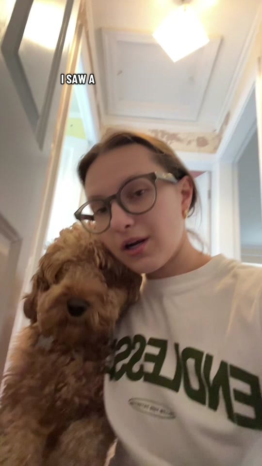 Post 1 by Ellie Henry on TikTok (video)