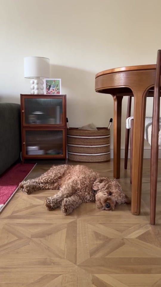 Post 5 by Ellie Henry on TikTok (video)