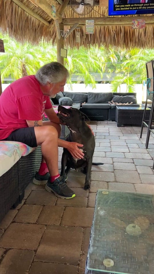 Post 7 by 100plusRescue on TikTok (video)