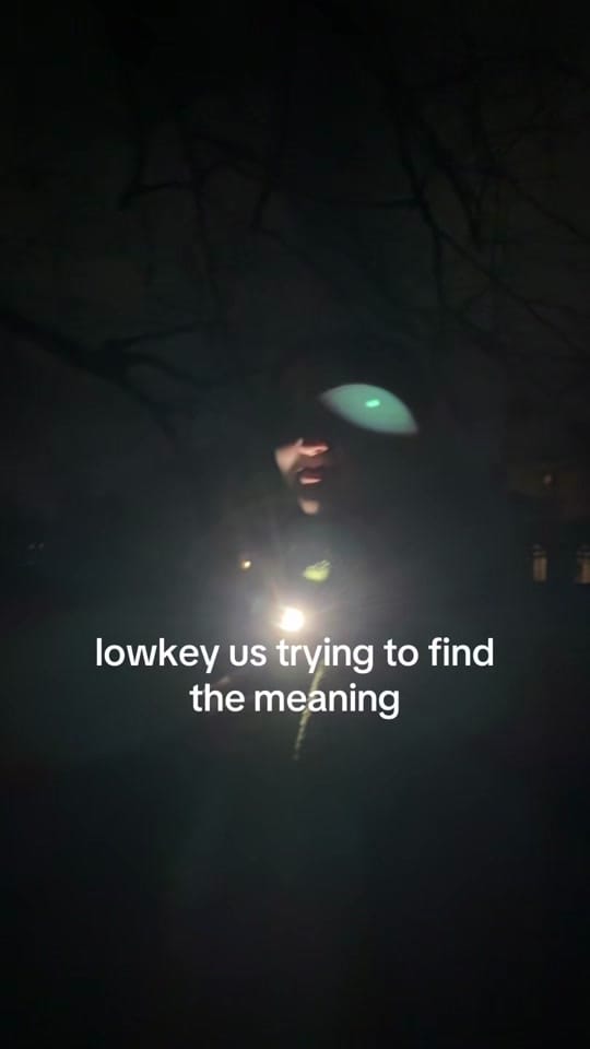 Post 6 by garbhán 🌿 on TikTok (video)