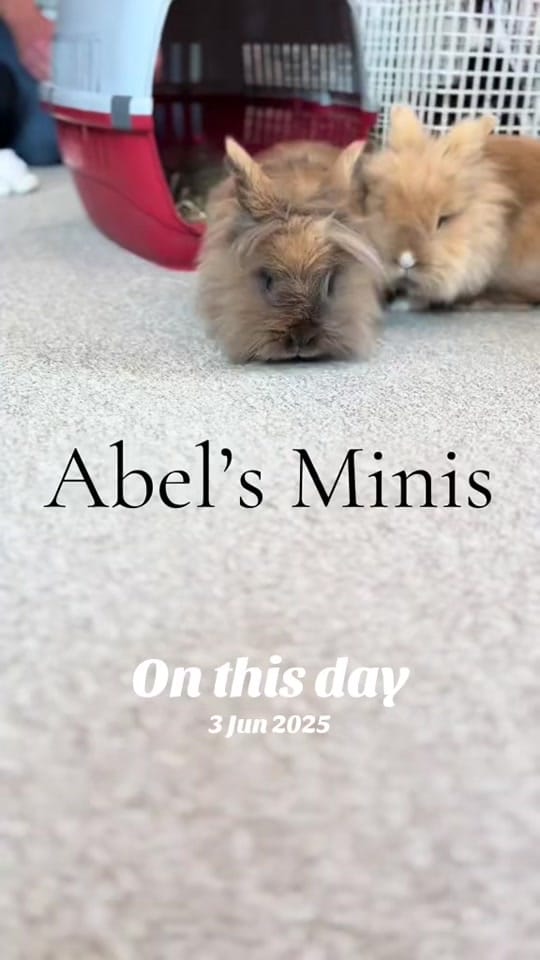 Post 1 by Sophie | Mummy life on TikTok (video)