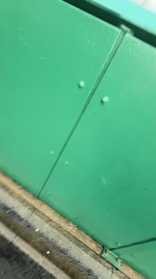 Post 8 by Eve | That Festival Girl★ on TikTok (video)