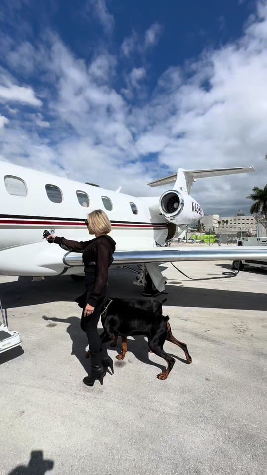 Post 3 by K9 Off Leash Miami on TikTok (video)