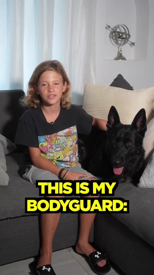 Post 8 by K9 Off Leash Miami on TikTok (video)