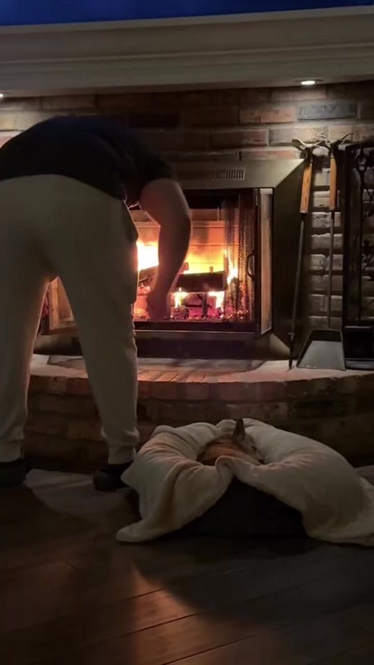 Post 5 by Paws&Claws on TikTok (video)
