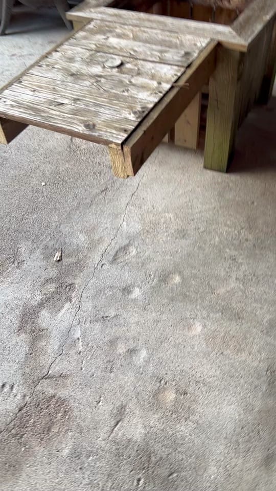 Post 8 by Paws&Claws on TikTok (video)