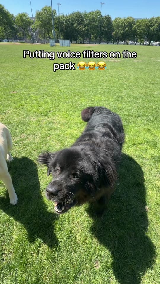 Post 2 by carly on TikTok (video)