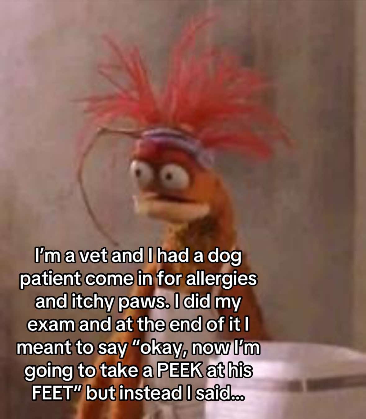 Post 7 by bellavet on TikTok (video)