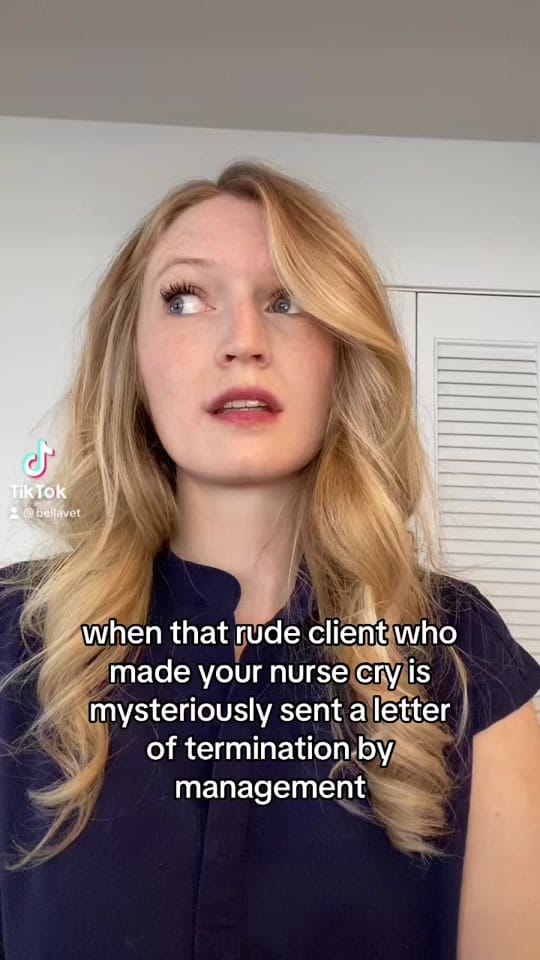 Post 4 by bellavet on TikTok (video)