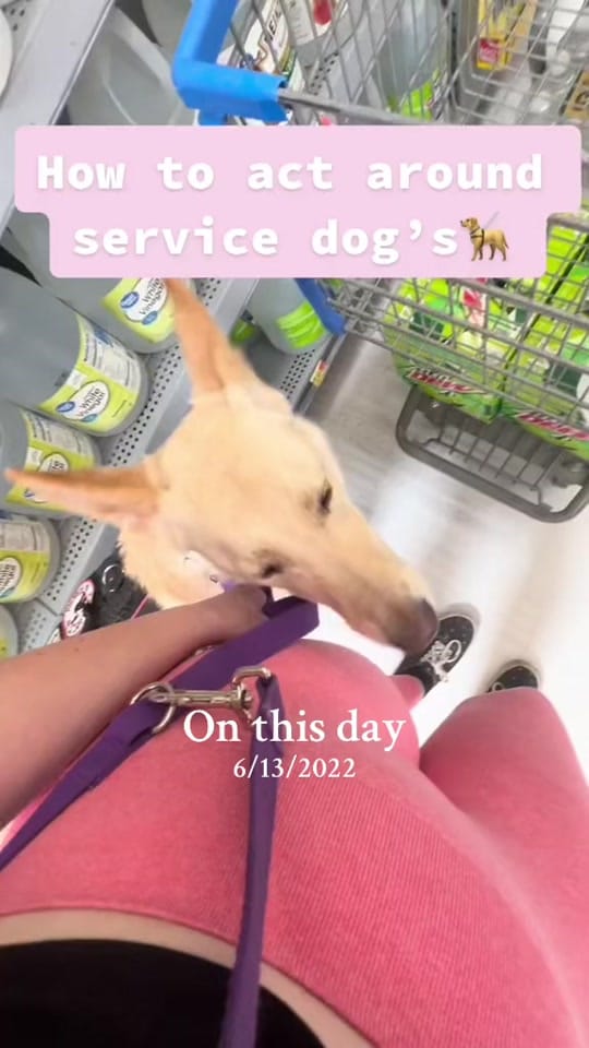 Post 6 by Martina & 2 Service Dogs🦋 on TikTok (video)