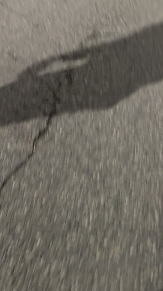 Post 5 by Martina & 2 Service Dogs🦋 on TikTok (video)