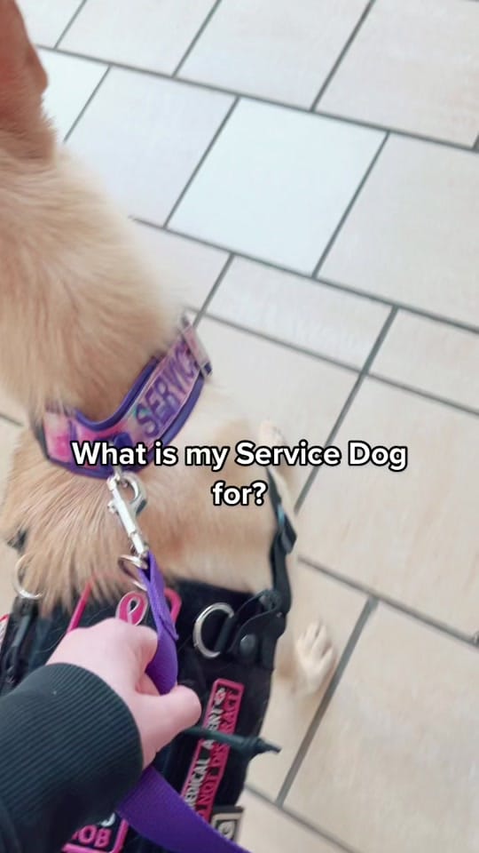 Post 8 by Martina & 2 Service Dogs🦋 on TikTok (video)
