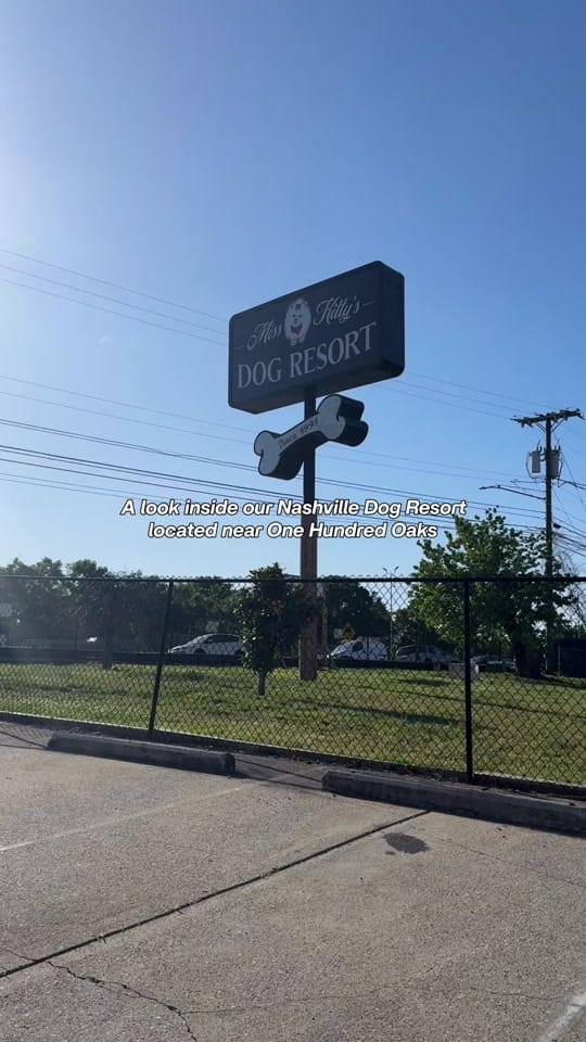 Post 3 by Miss Kitty’s Dog Resort on TikTok (video)