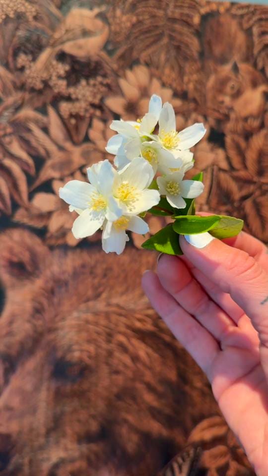 Post 1 by 🔥Jaydlyn Joan Pyrography🔥 on TikTok (video)
