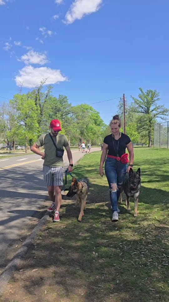 Post 3 by American Canine Academy on TikTok (video)
