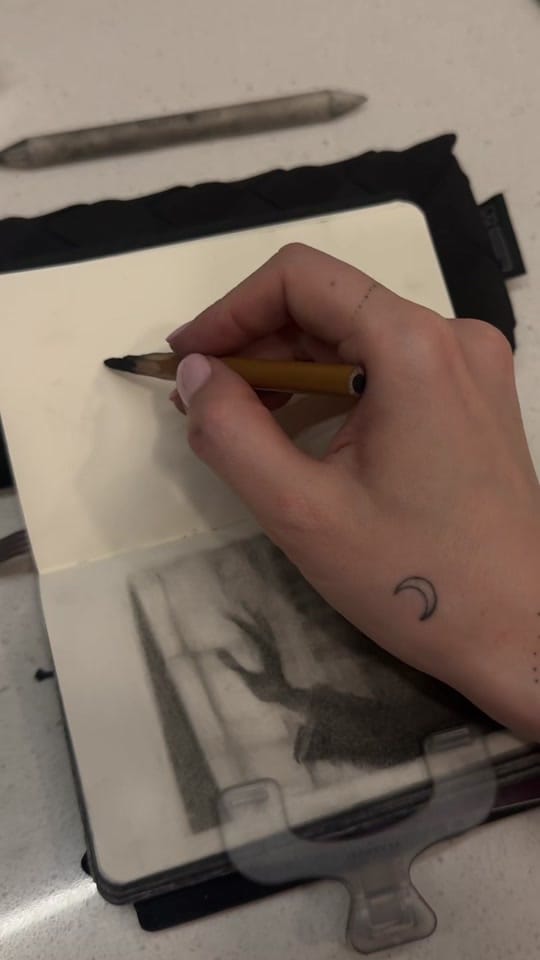 Post 5 by MeuDraws on TikTok (video)
