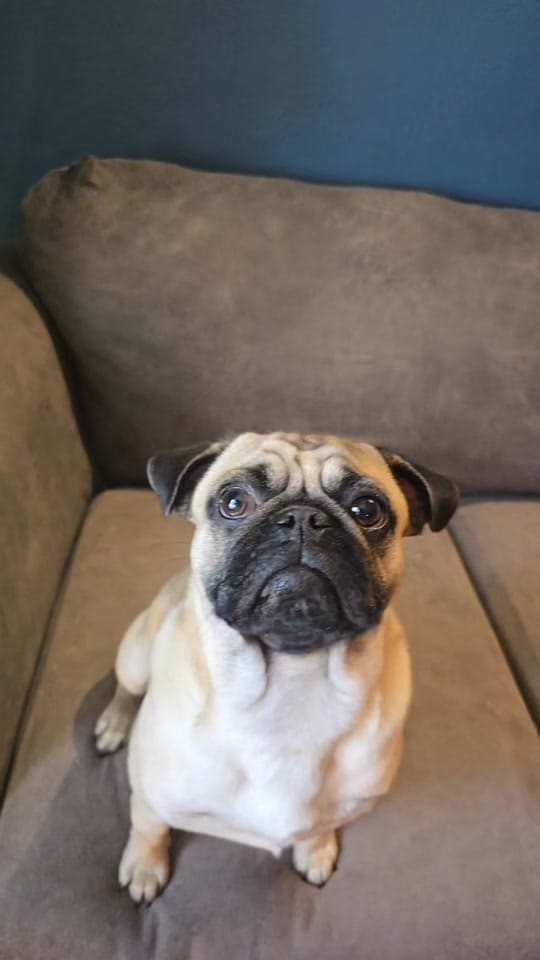 Post 4 by Amber Clampitt❌️ on TikTok (video)