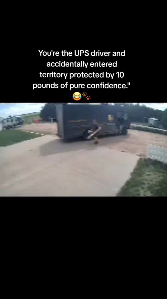 Post 2 by Amber Clampitt❌️ on TikTok (video)