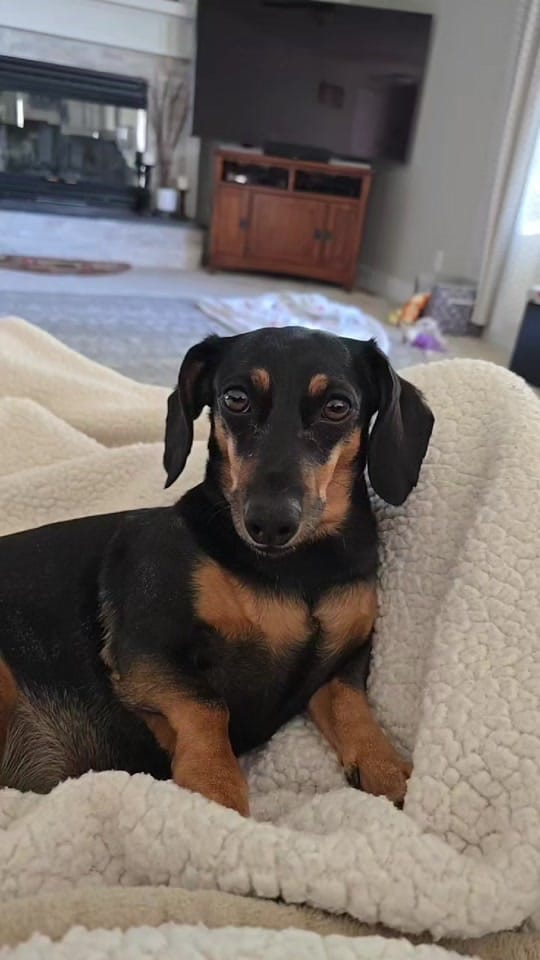 Post 5 by Amber Clampitt❌️ on TikTok (video)