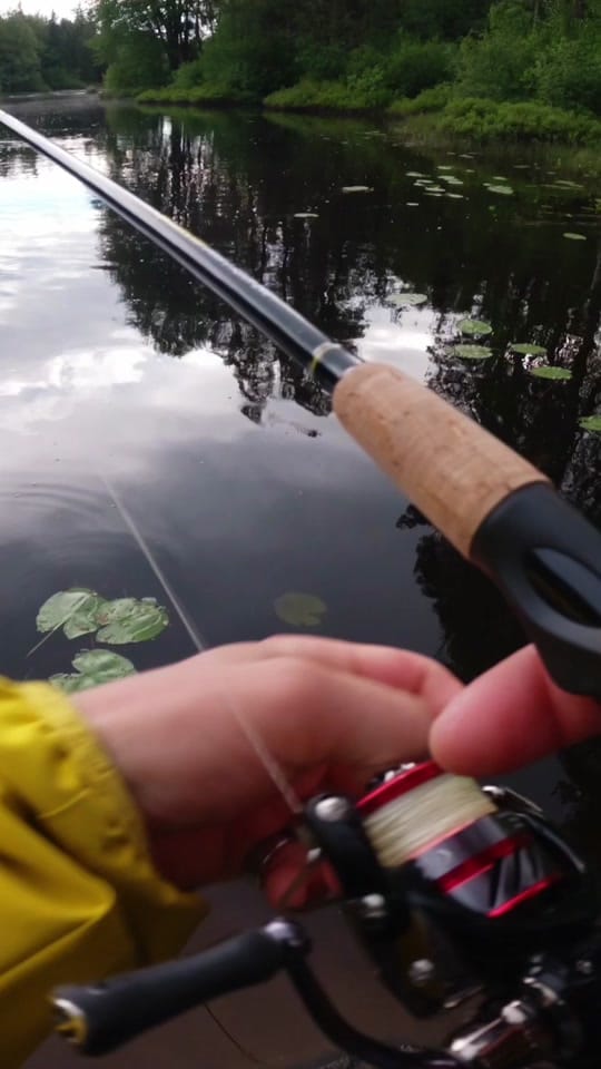 Post 4 by Juuso Kenttälä on TikTok (video)