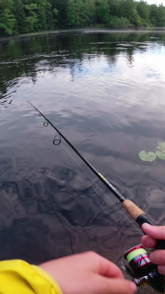 Post 5 by Juuso Kenttälä on TikTok (video)