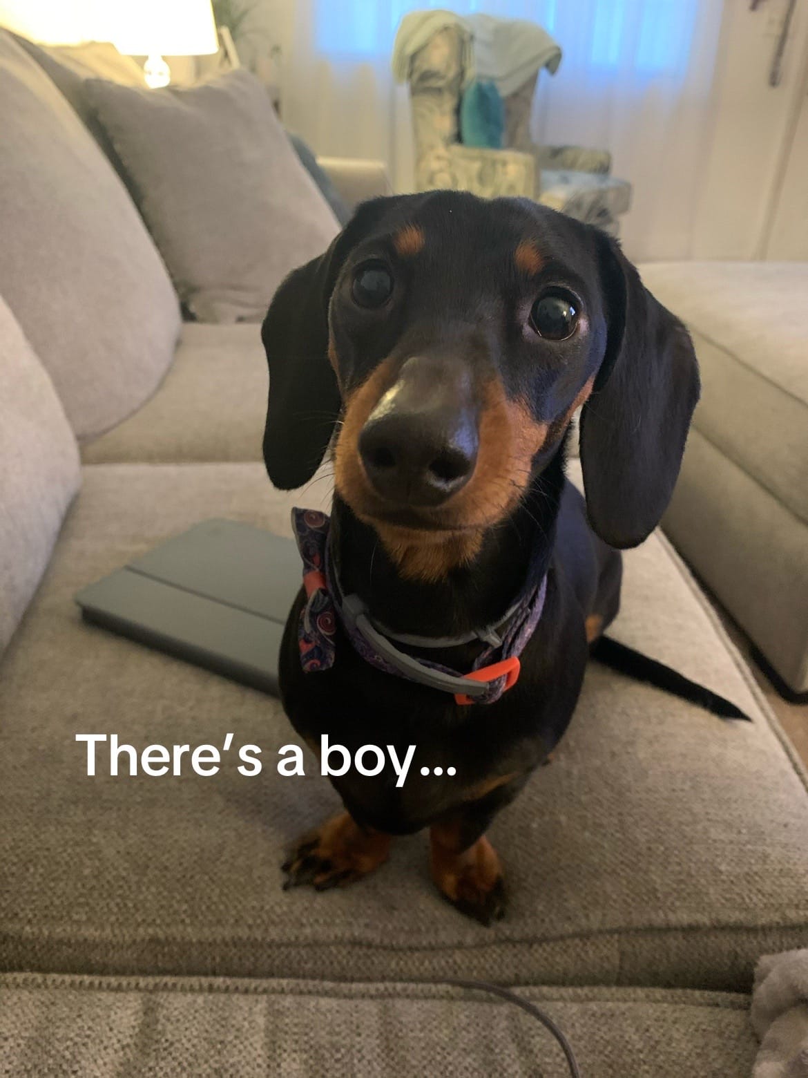 Post 10 by dusty_lynn22 on TikTok (video)