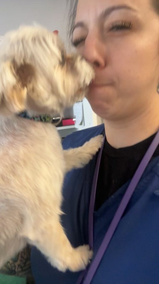 Post 10 by Laura's Paw Spaw on TikTok (video)