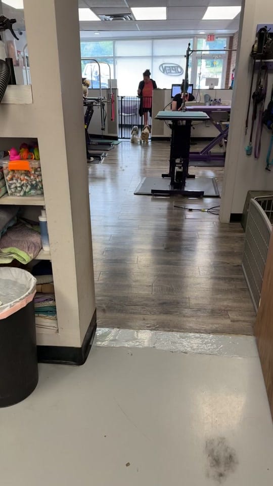 Post 7 by Laura's Paw Spaw on TikTok (video)